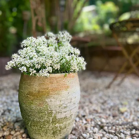 Apartamento Maison Lily 1 Bad Lauterberg