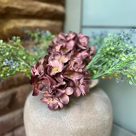 Maison Lily 1 巴特劳特堡